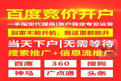 SEM托管代运营案例解析：ROI大幅提升的秘诀